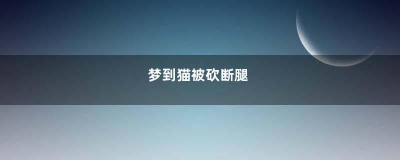 梦到猫被砍断腿