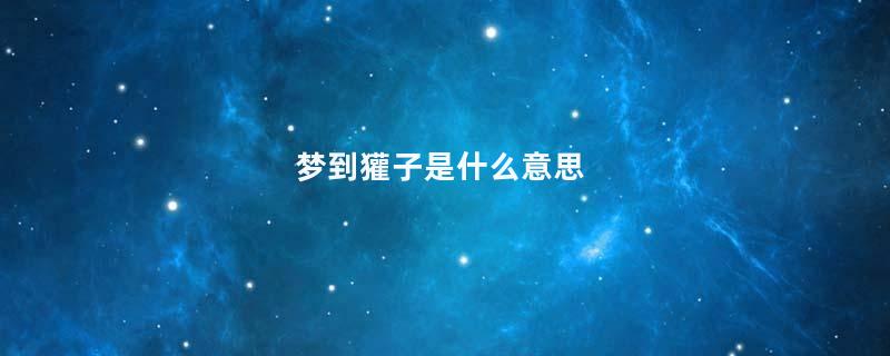 梦到獾子是什么意思