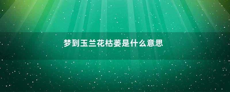 梦到玉兰花枯萎是什么意思
