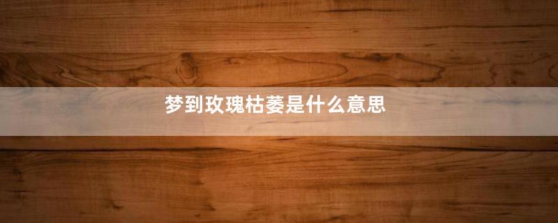 梦到玫瑰枯萎是什么意思