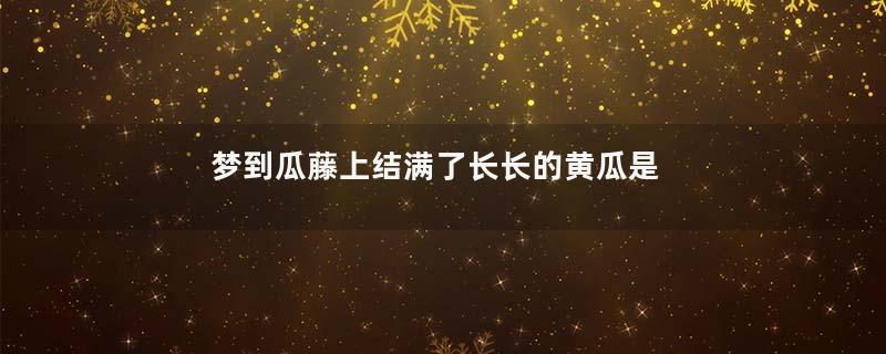 梦到瓜藤上结满了长长的黄瓜是什么意思