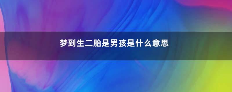 梦到生二胎是男孩是什么意思