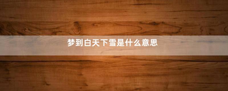 梦到白天下雪是什么意思