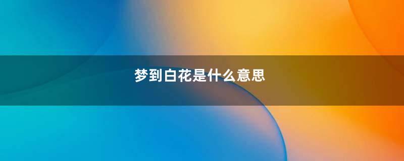 梦到白花是什么意思