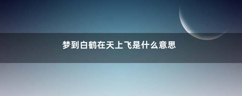 梦到白鹤在天上飞是什么意思