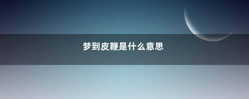 梦到皮鞭是什么意思