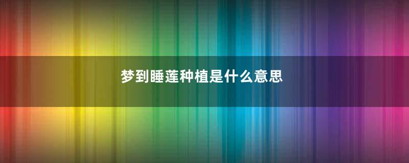 梦到睡莲种植是什么意思