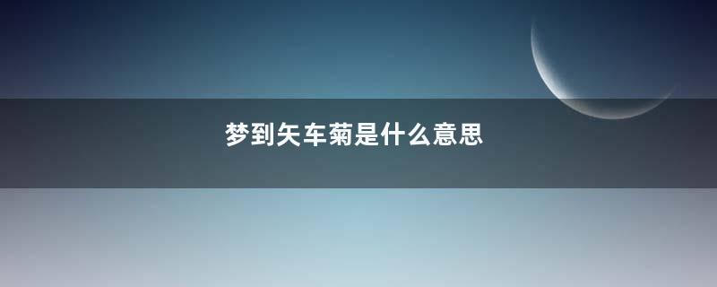 梦到矢车菊是什么意思