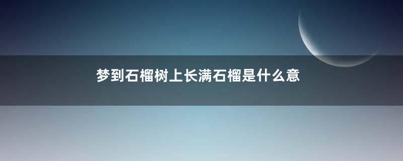 梦到石榴树上长满石榴是什么意思