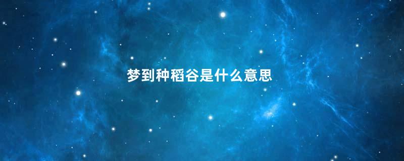 梦到种稻谷是什么意思