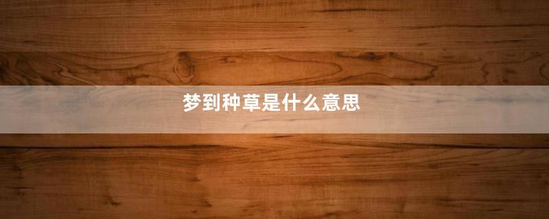 梦到种草是什么意思