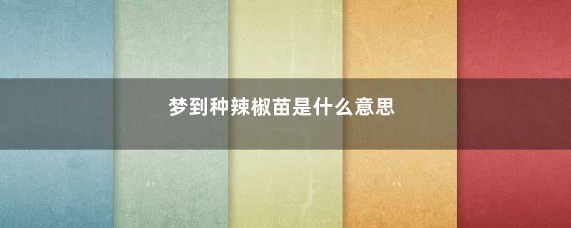 梦到种辣椒苗是什么意思