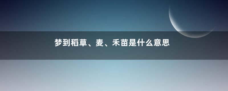 梦到稻草、麦、禾苗是什么意思