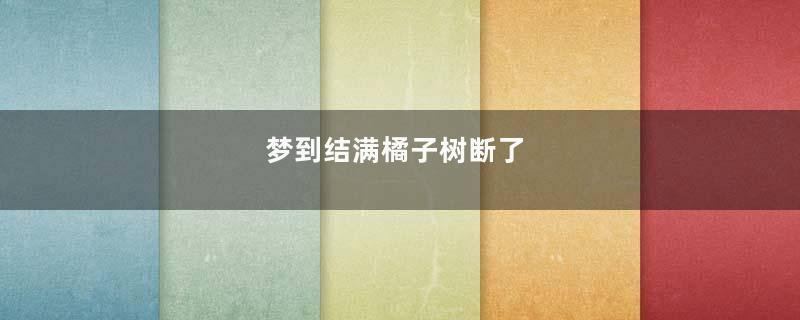 梦到结满橘子树断了