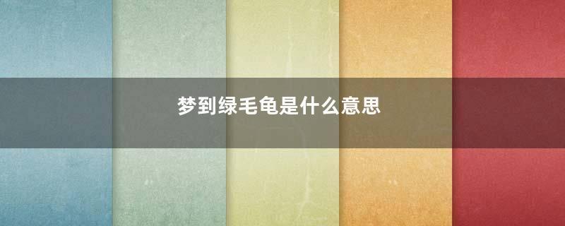 梦到绿毛龟是什么意思