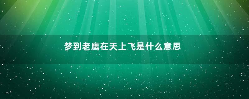 梦到老鹰在天上飞是什么意思