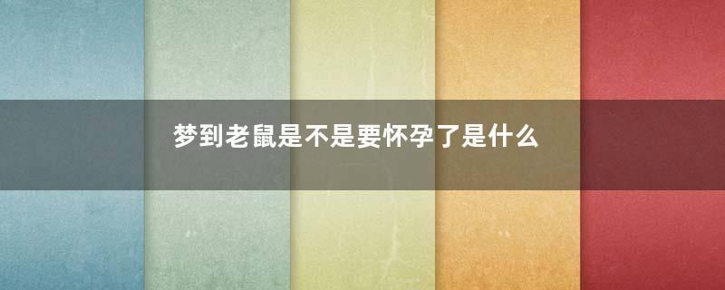 梦到老鼠是不是要怀孕了是什么意思