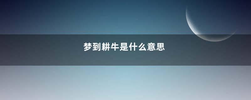 梦到耕牛是什么意思