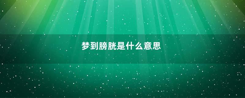 梦到膀胱是什么意思