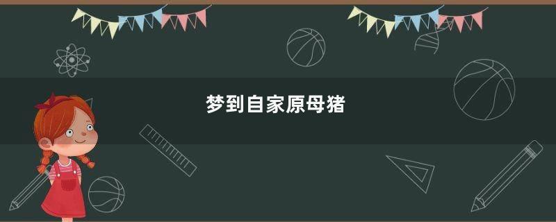 梦到自家原母猪
