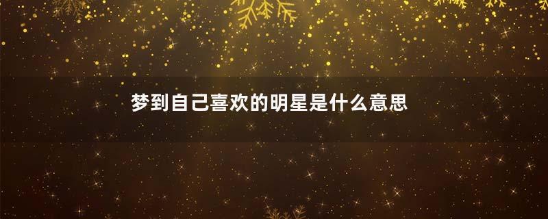 梦到自己喜欢的明星是什么意思