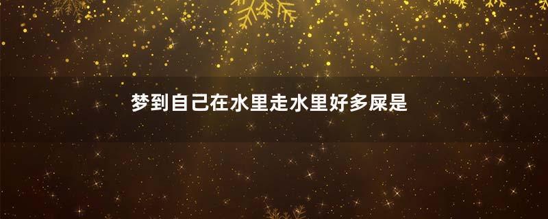 梦到自己在水里走水里好多屎是什么意思