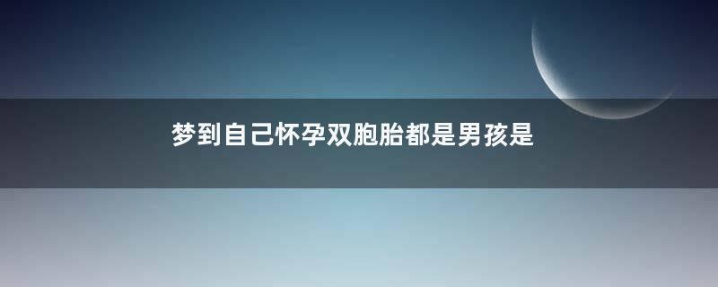 梦到自己怀孕双胞胎都是男孩是什么意思