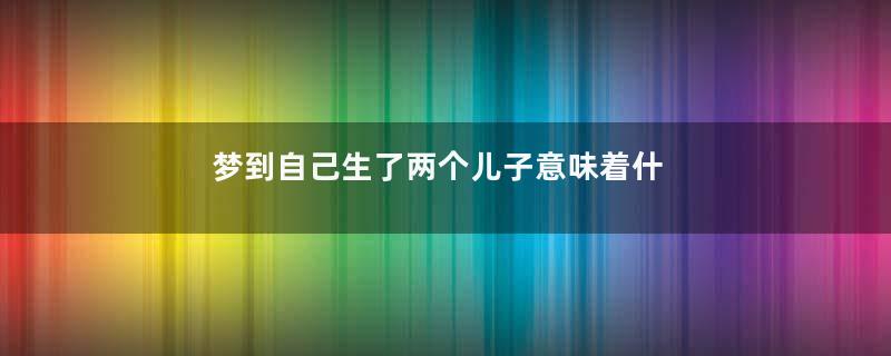 梦到自己生了两个儿子意味着什么是什么意思
