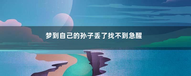 梦到自己的孙子丢了找不到急醒了