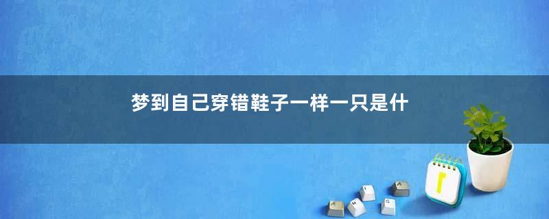 梦到自己穿错鞋子一样一只是什么意思