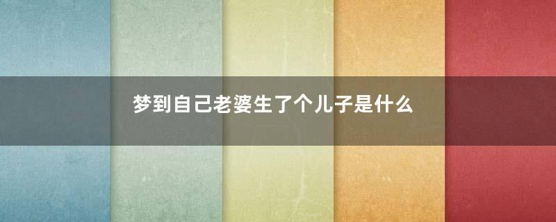 梦到自己老婆生了个儿子是什么意思