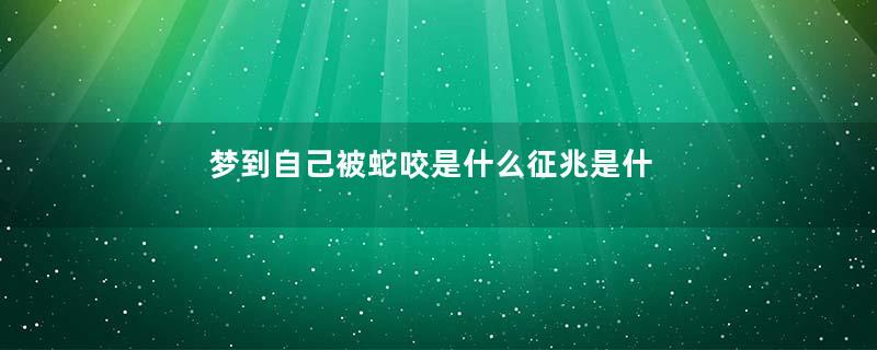 梦到自己被蛇咬是什么征兆是什么意思