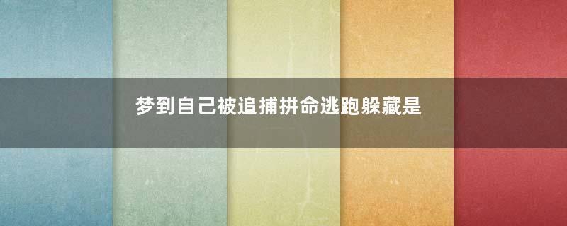 梦到自己被追捕拼命逃跑躲藏是什么意思