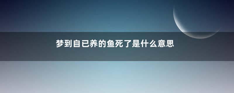 梦到自已养的鱼死了是什么意思