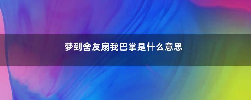 梦到舍友扇我巴掌是什么意思