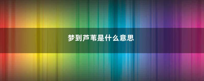 梦到芦苇是什么意思