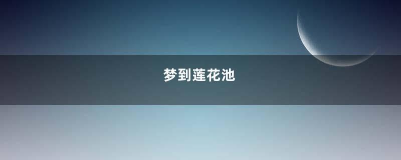 梦到莲花池