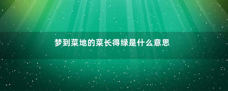 梦到菜地的菜长得绿是什么意思