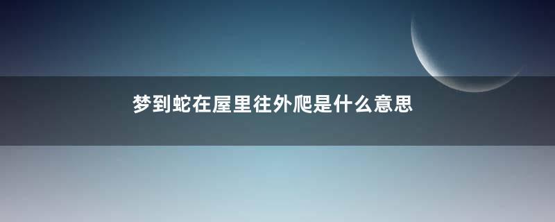 梦到蛇在屋里往外爬是什么意思