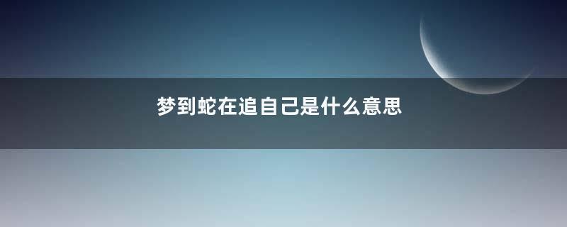梦到蛇在追自己是什么意思