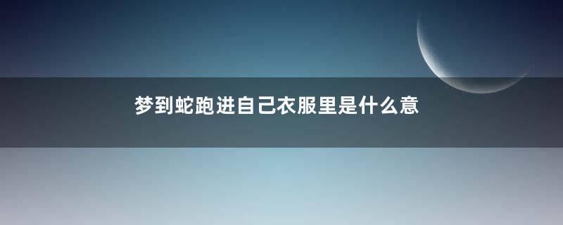 梦到蛇跑进自己衣服里是什么意思