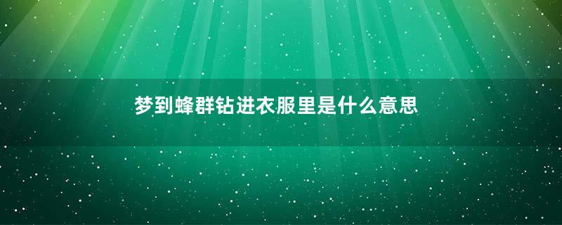 梦到蜂群钻进衣服里是什么意思