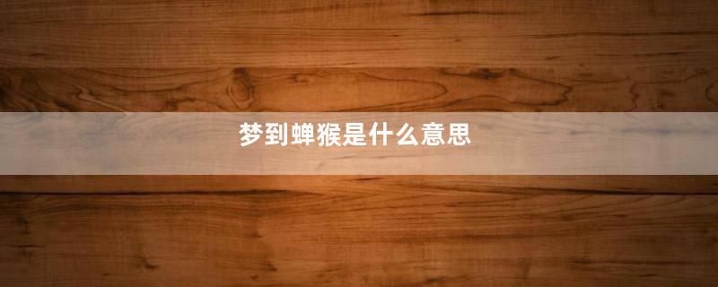 梦到蝉猴是什么意思