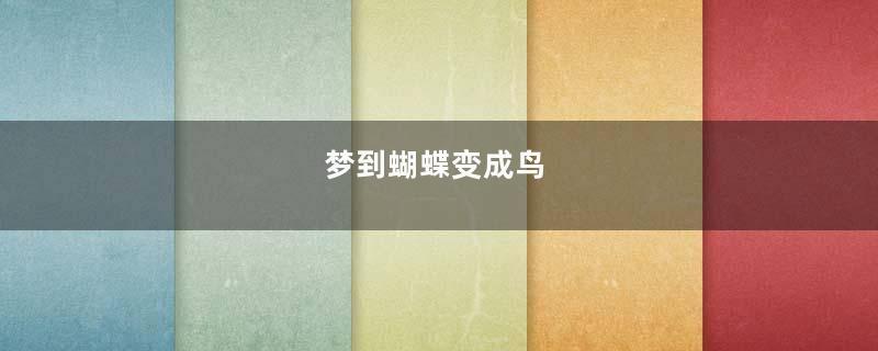 梦到蝴蝶变成鸟