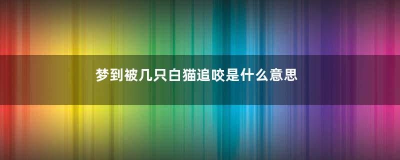 梦到被几只白猫追咬是什么意思