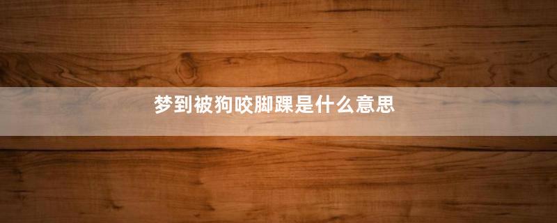 梦到被狗咬脚踝是什么意思