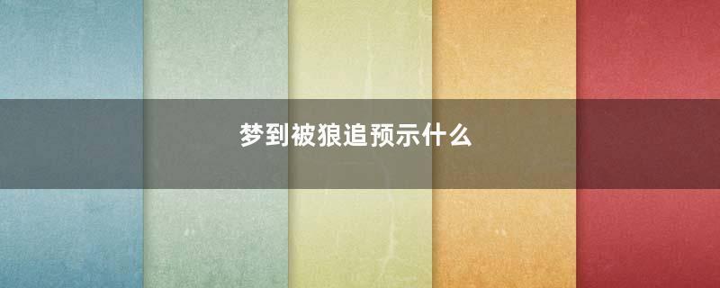梦到被狼追预示什么
