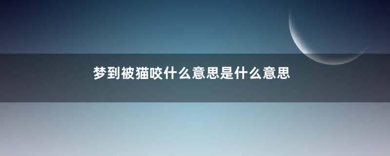 梦到被猫咬什么意思是什么意思