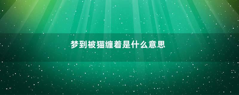 梦到被猫缠着是什么意思