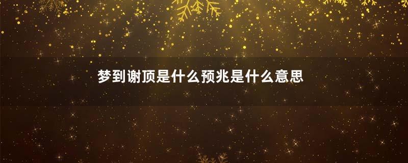 梦到谢顶是什么预兆是什么意思